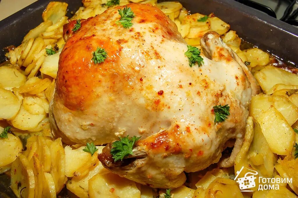 Рецепты приготовления запеченной курицы