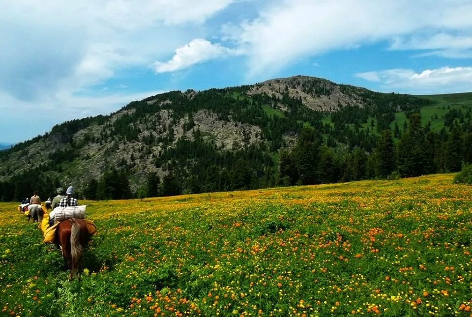 летом на алтае июнь. в алтае на месяц. алтай треккинг. игман горно алтайск. река иолдо айры.