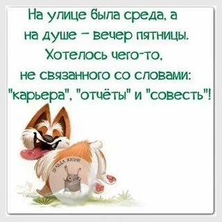 Среда картинки смешные с надписями