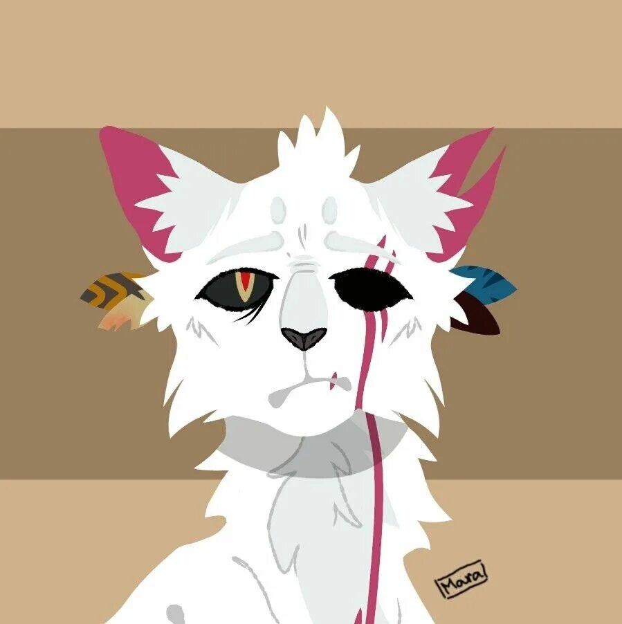 Cats fandom. Warrior cats art oc. warrior cats oc. воительница арт коты. cat oc art.
