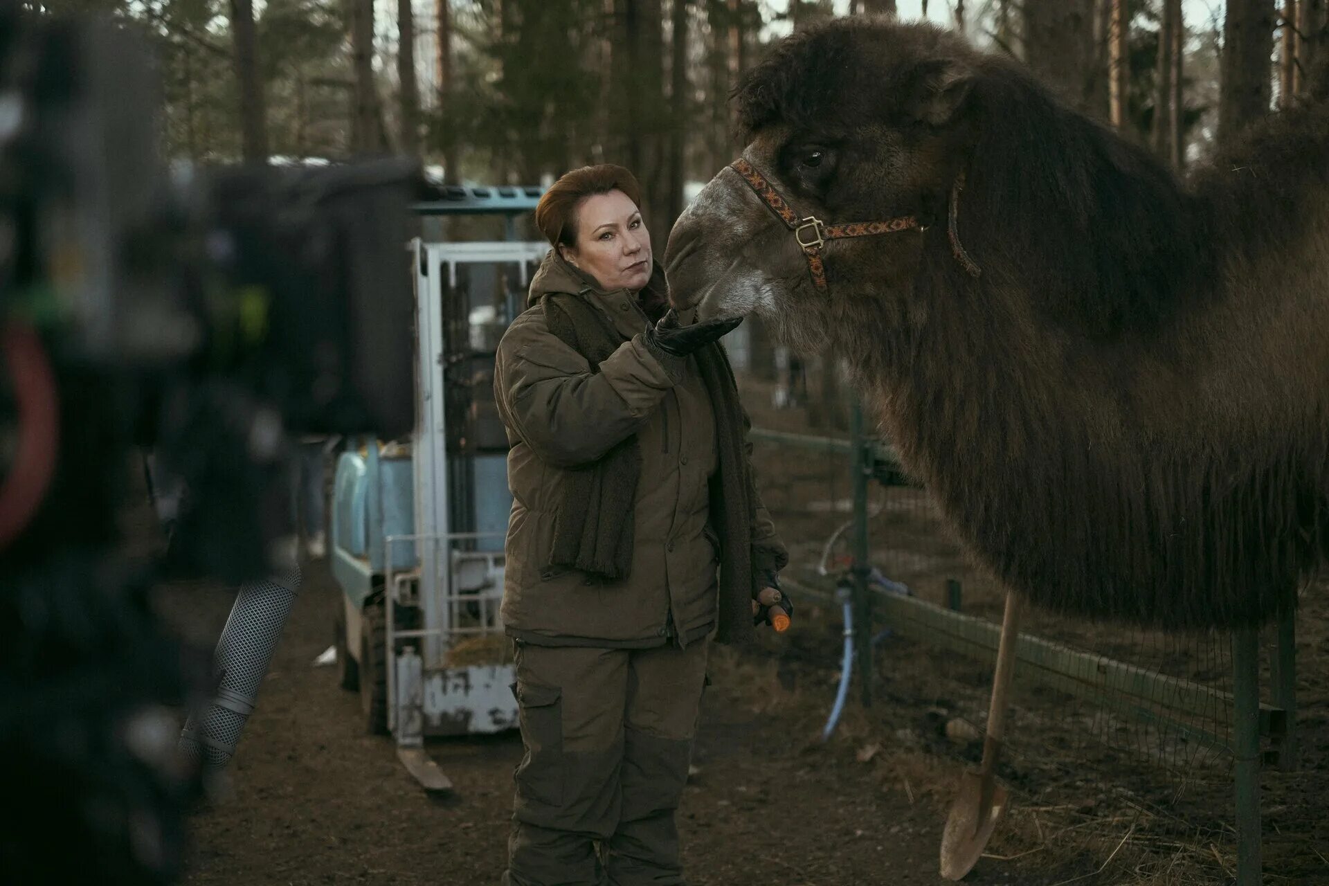медведь 2023. человек после седения медведя с кровью. кокаиновый медведь реальный. кокаиновый медведь cocaine bear. медведь 2023.
