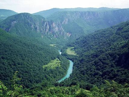 Каньон в черногории