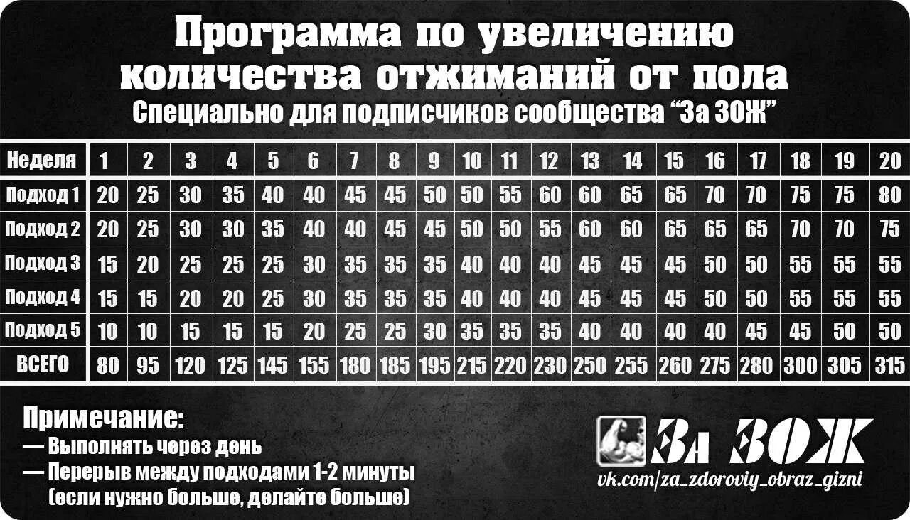 Тренировочный полу вариант 2