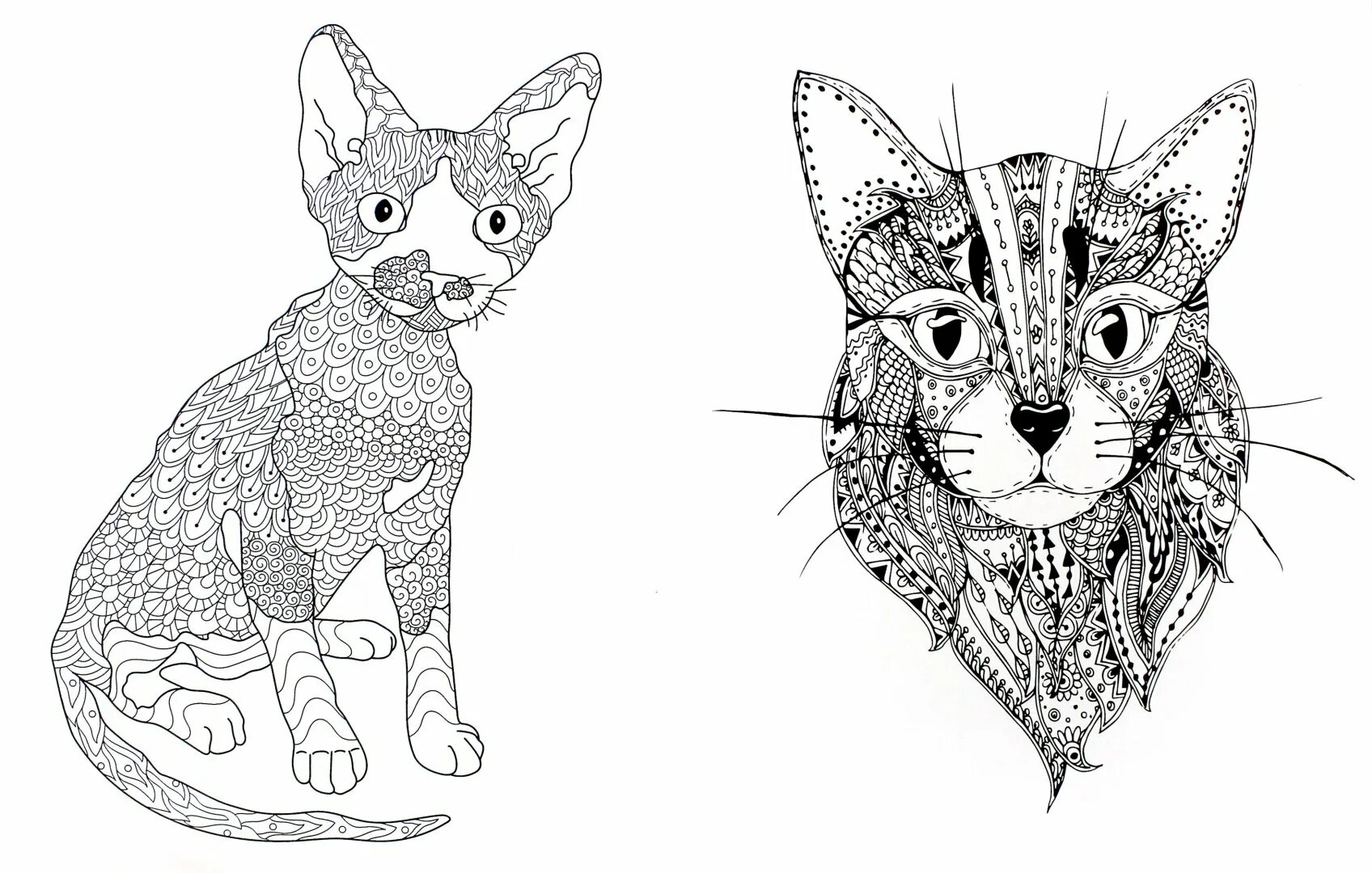 Сложные рисунки котик. Раскраска антистресс котики. Раскраска кошка антистресс для детей. Раскраски котики сложные. Раскраска кошка сложная.