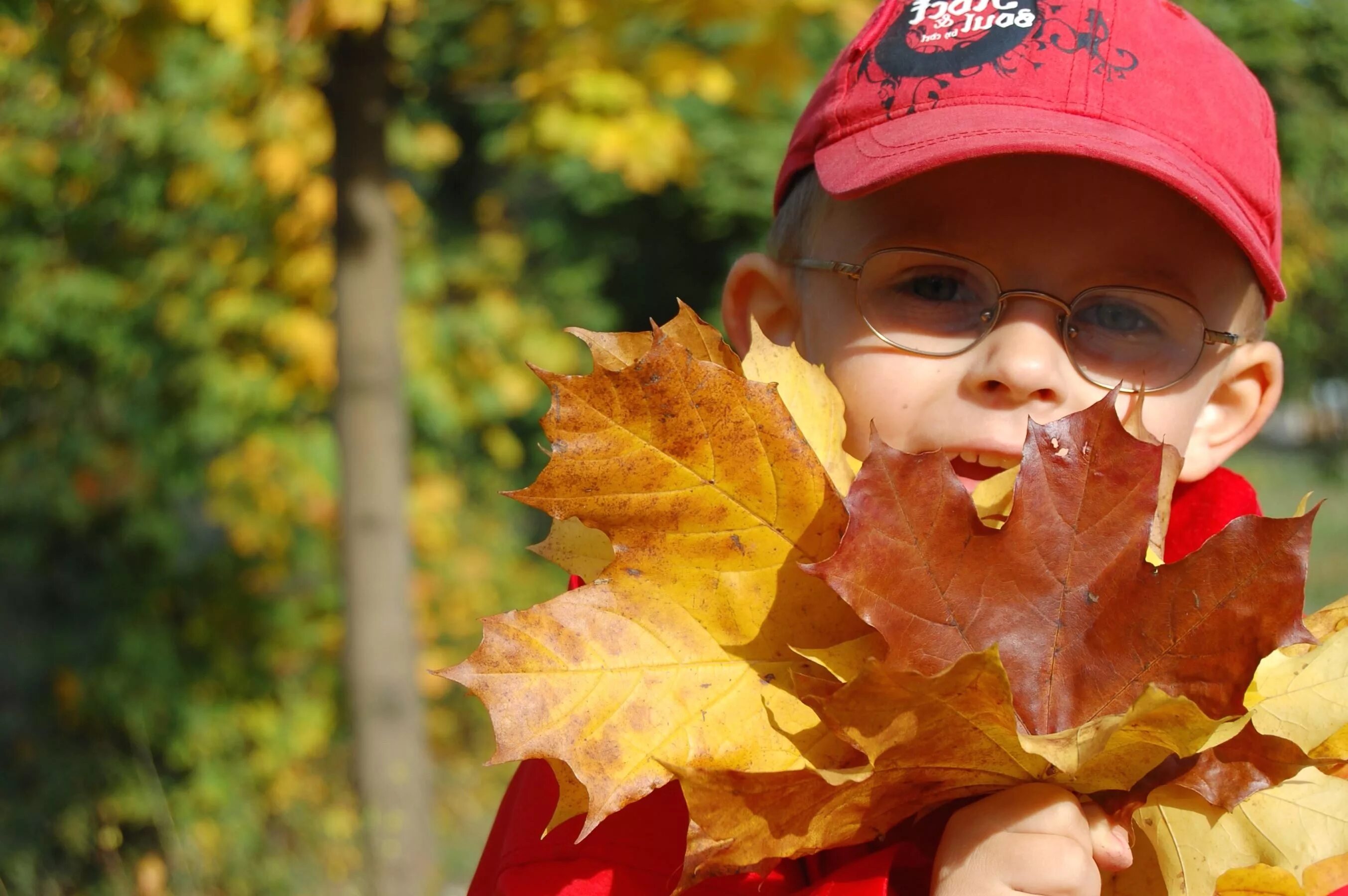 Осень для детей. Осенние листья для детей. Мальчик с листом. Дети осенью.