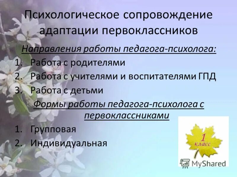 Критерии адаптации первоклассников к школе. Программа психологического сопровождения адаптации. Модель психолого-педагогического сопровождения первоклассников. Психолого педагогическое сопровождение детей с проблемой адаптации. Этапы мониторинга адаптации первоклассника.