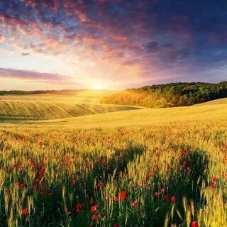 Colorful summer