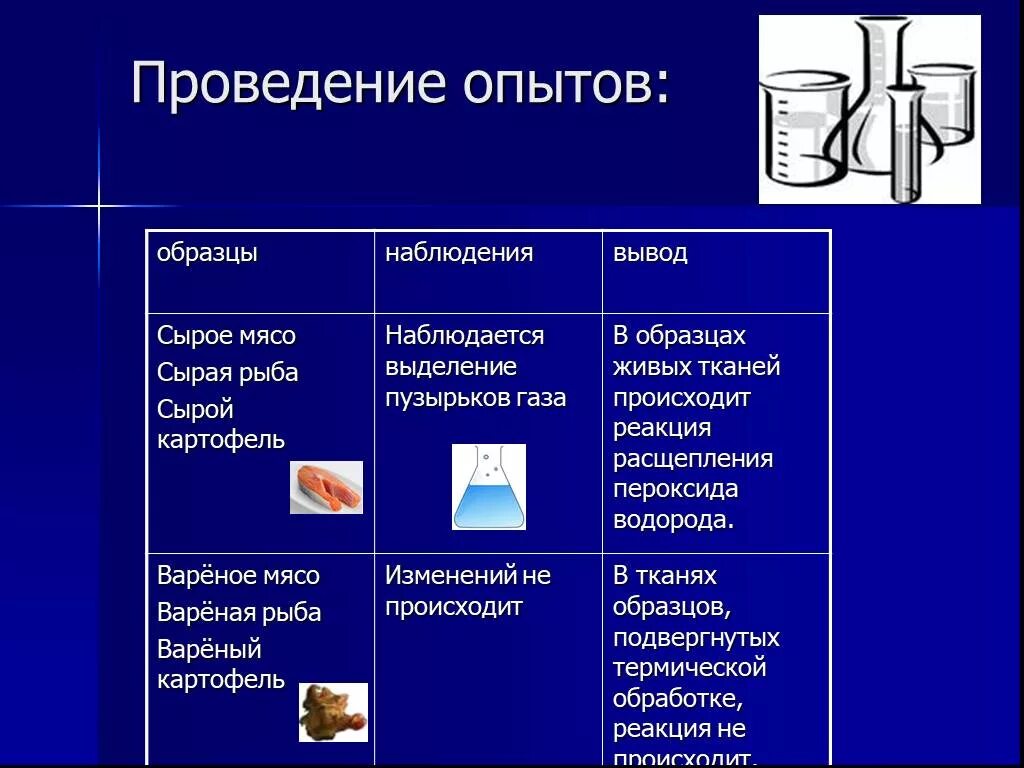 Опыт с сырым и вареным картофелем и перекисью водорода. Опыт с сырой картошкой и перекисью водорода. Опыт с перекисью водорода и картофелем и мясом. Опыт с мясом и перекисью водорода. Биологические эксперименты примеры