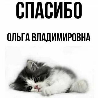 Благодарим алиса