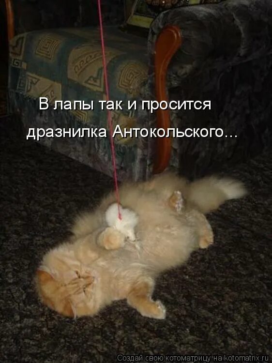 Так и просится на грех. Бурундук с большими глазами. Котик просится на ручки. Мемы хватит жрать. Обеденная уходит мем.