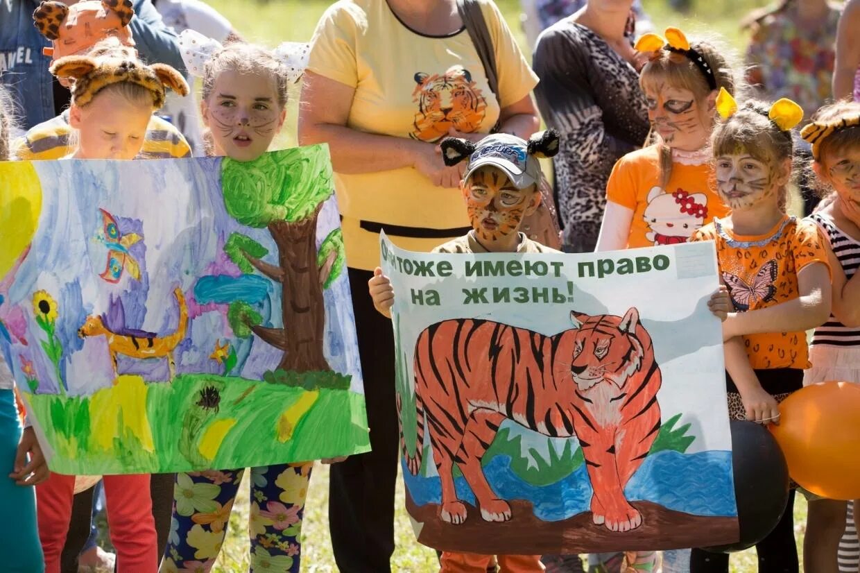 Выставка посвященная дню тигра в доу. Фестиваль день тигра. Международный день тигра в детском саду. Шествие день тигра. День тигра в доу для детей.