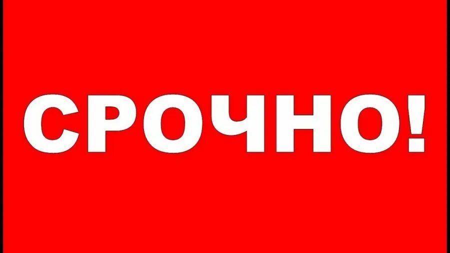 Срочно бывший. Срочно. срочно картинка. надпись срочно. срочно фото.