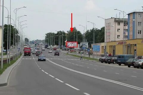 Белуша гродно