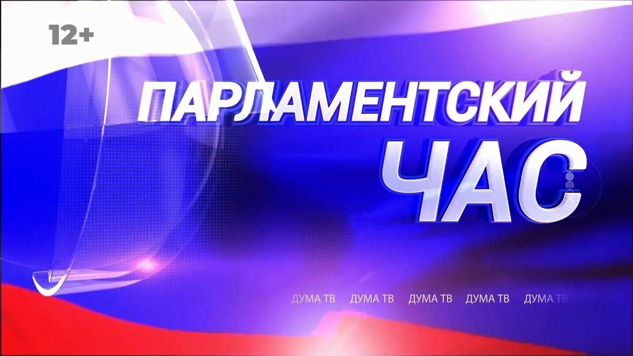 Думский час