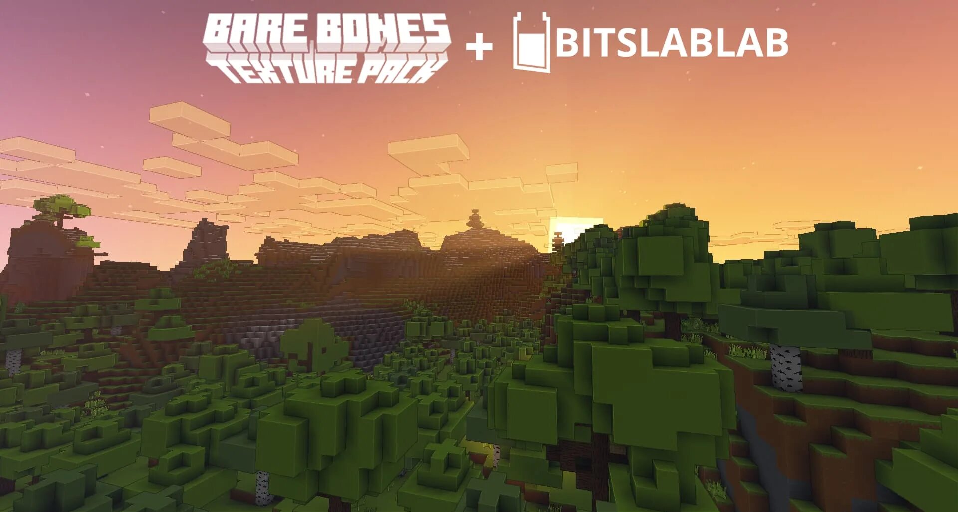 Текстур пак bones. Bare Bones Minecraft 1.16. Barebones 1.16.5. Barebones 1.16.4. Bare Bones 1.18.2.