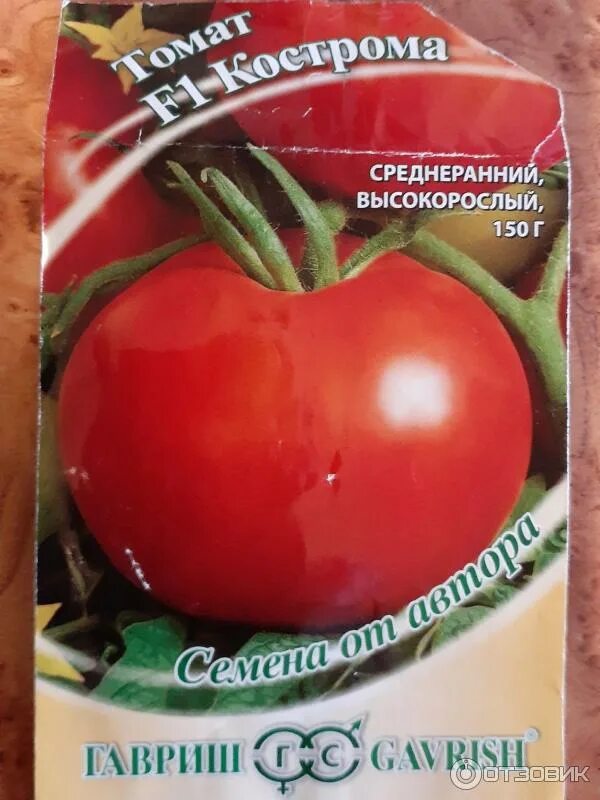 Кострома томат описание. Сорта томатов устойчивые к кладоспориозу для теплиц. Томат кострома f1. Томат кострома f1. Семена томат кострома гавриш.