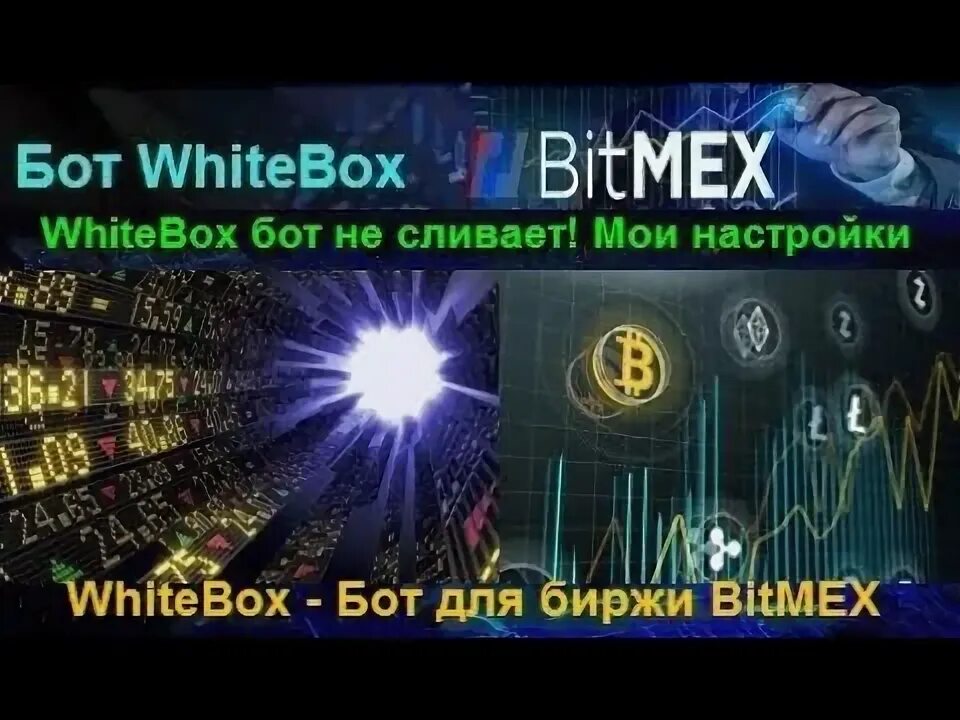 Не запускается хамстер бот. Не запускается хамстер бот