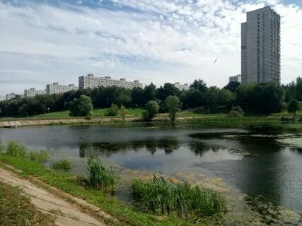 Южное чертаново отзывы