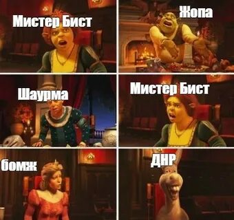 Вопросы мистеру бисту