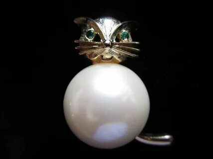 Pearl cat