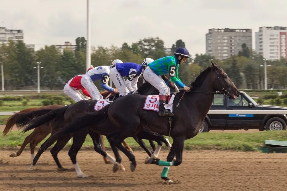 Цми форум. Владимир дончак. Российский ипподром москва. Цми форум. Венсенский ипподром париж бега.