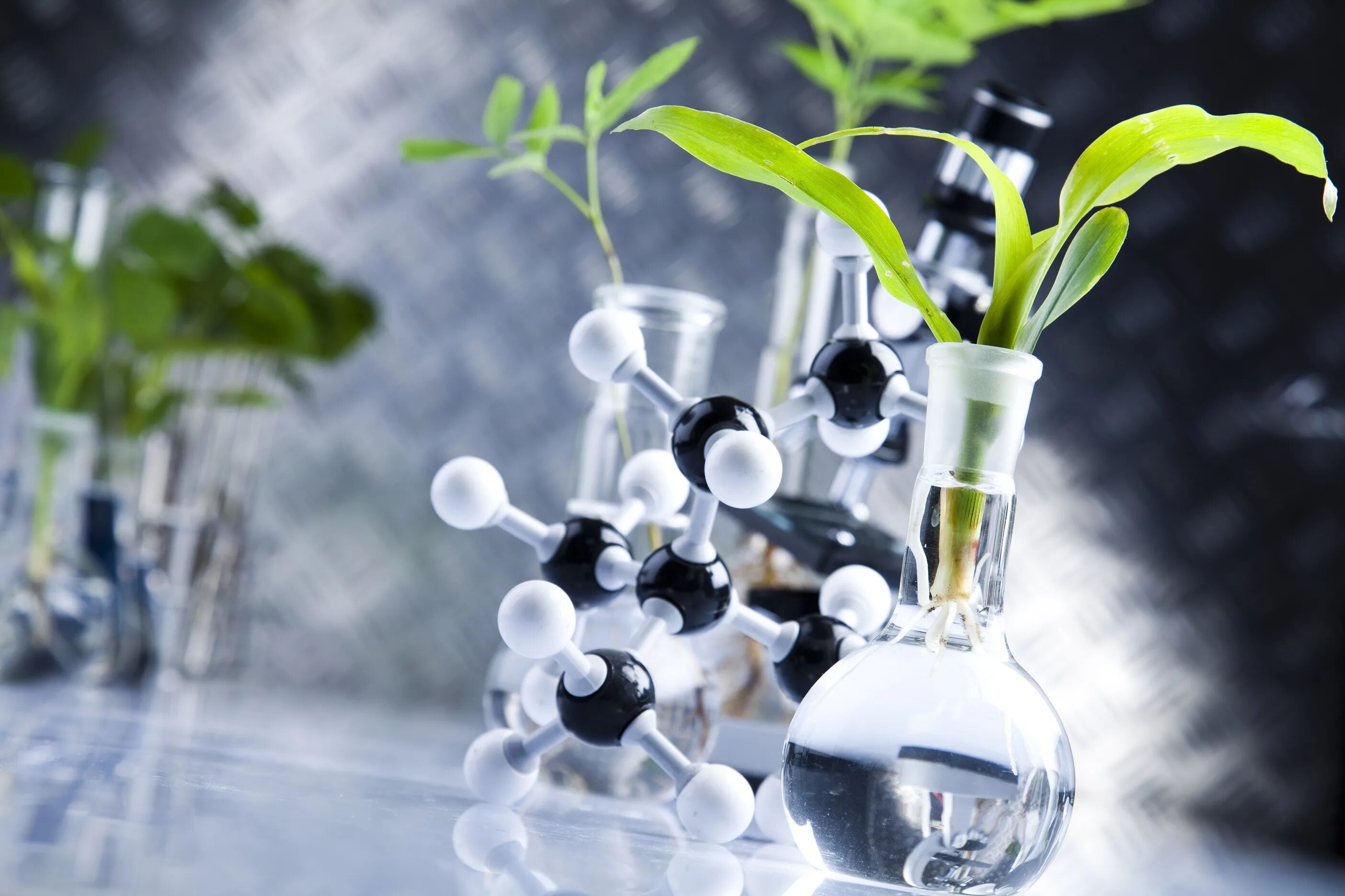 Вода химия и экология. Растения в пробирках. Лаборатория растений. Химические вещества растений. Биотехнология растений.