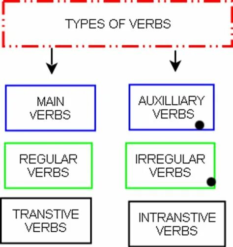 Different глагол. Types of verbs. Types of verbs in English. Main verbs в английском языке. Kinds of verbs.