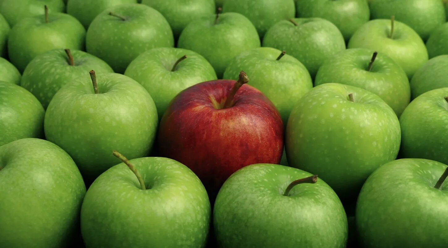 Яблоки десятки. Грин Эппл Green Apple. Яблоки красные. Яблоки зеленые. Яблоко на зеленом фоне.