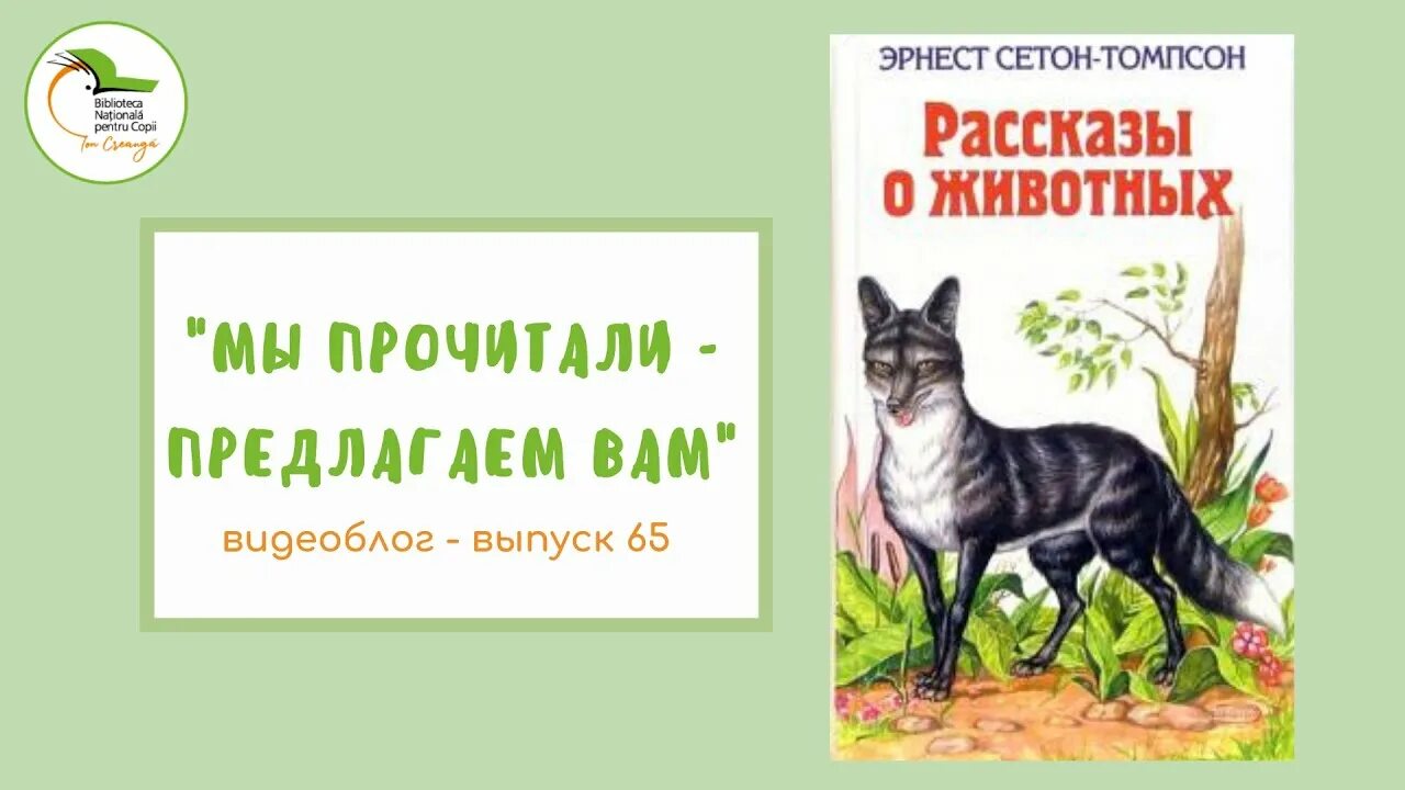 Сетон-Томпсон рассказы о животных. Сетон-Томпсон рассказы о животных иллюстрации.