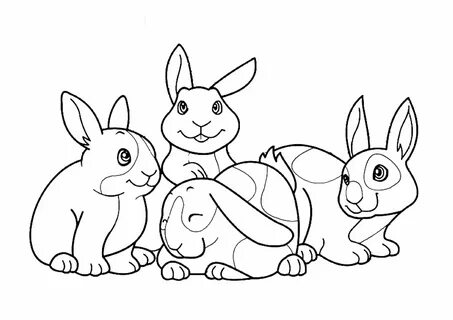 Color pets