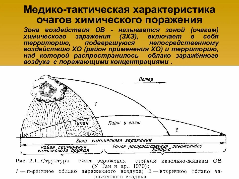 Структура очагов поражения