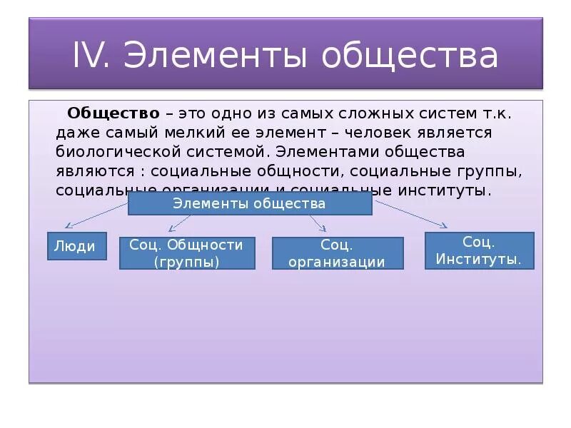 Общества организация состоит из