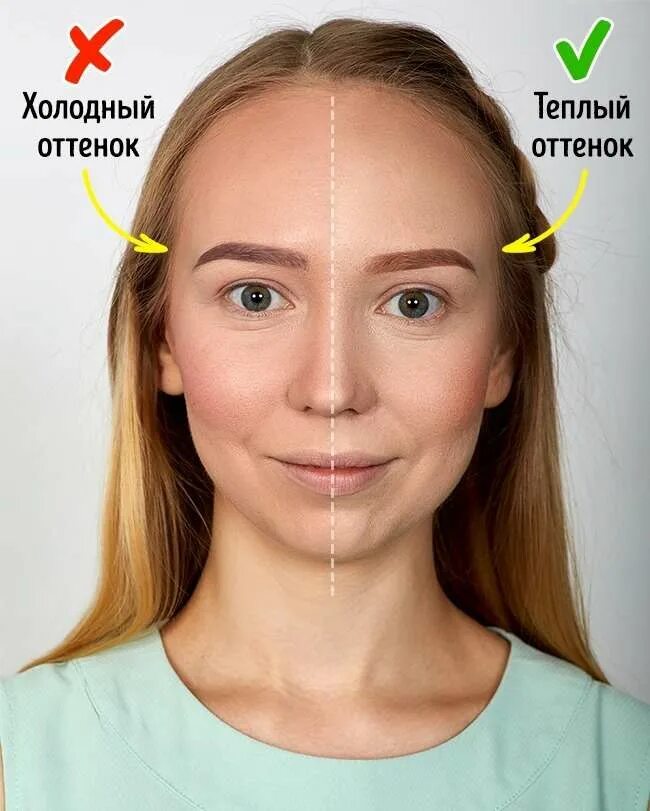 Потеплее какое лицо. Теплые и холоднвеоттенки бровей. Теплые тона бровей. Холодный и теплый оттенок кожи. Холодный и теплый оттенок бровей.