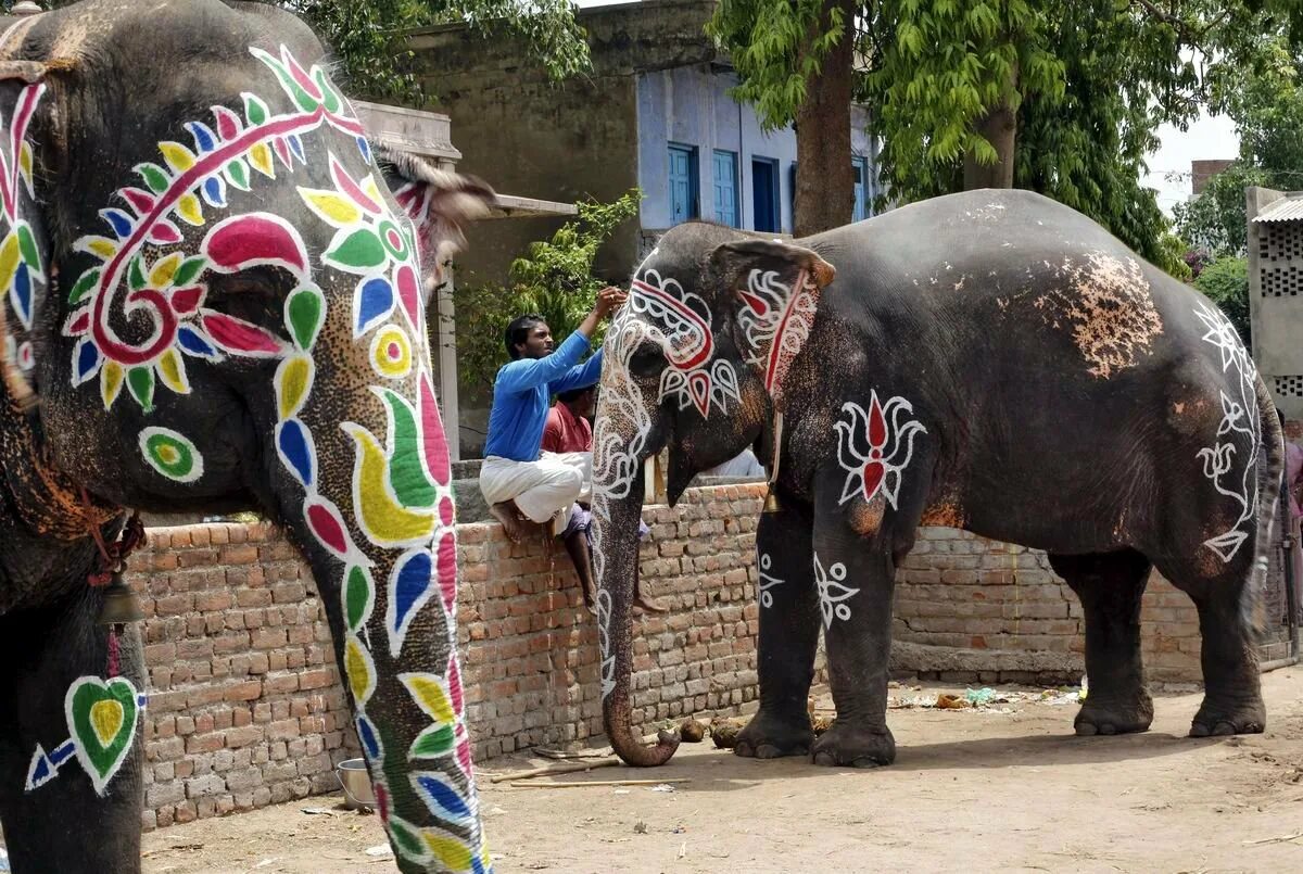 Стена девяти драконов в запретном городе. Священное животное россии. Тотемное животное индусов. Тотемные животные разных народов. Отверженный священный зверь.
