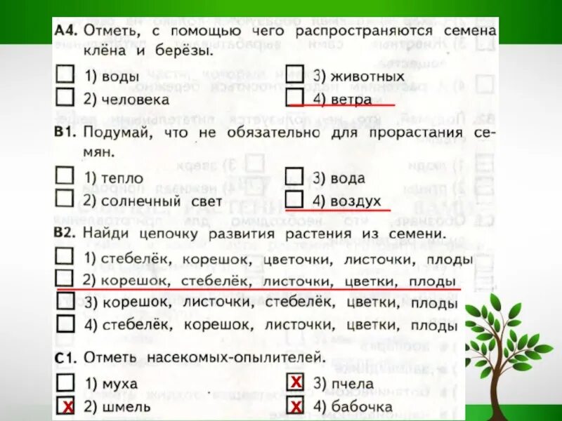 Проверочная по окружающему. Тест по окружающему миру 3 класс. Размножение и развитие растений 3 класс. Развитие растений 3 класс. Контрольная работа растения и человек