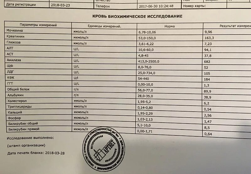 Алт аст кфк. Биохимический анализ крови показатели белков. Общий белок в биохимическом анализе крови норма. Биохимия крови белок норма. Биохимический анализ крови белки норма.
