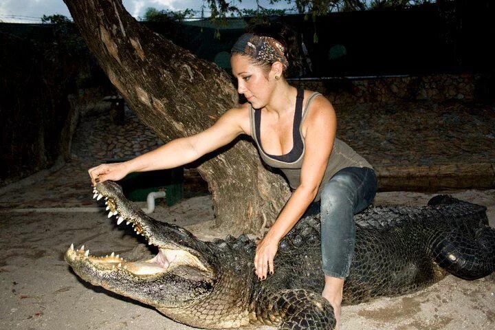 Остров рамри крокодиловая бойня. Фотосессия девушка с крокодилом. Нэверленд сериал крокодил. Фотосессия с крокодилом. Гребнистый крокодил ест человека.