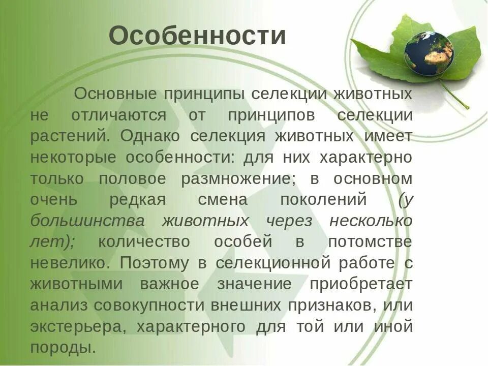 Характеристика селекции животных. Особенности селекции животных. особенности селекции растений и животных. принципы селекции. особенности селекции растений.