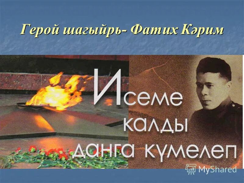 кыр казы. кыр казы. перелетные птицы для детей гусь. рафаэль сафин стихи на башкирском. стая лебедей фото.