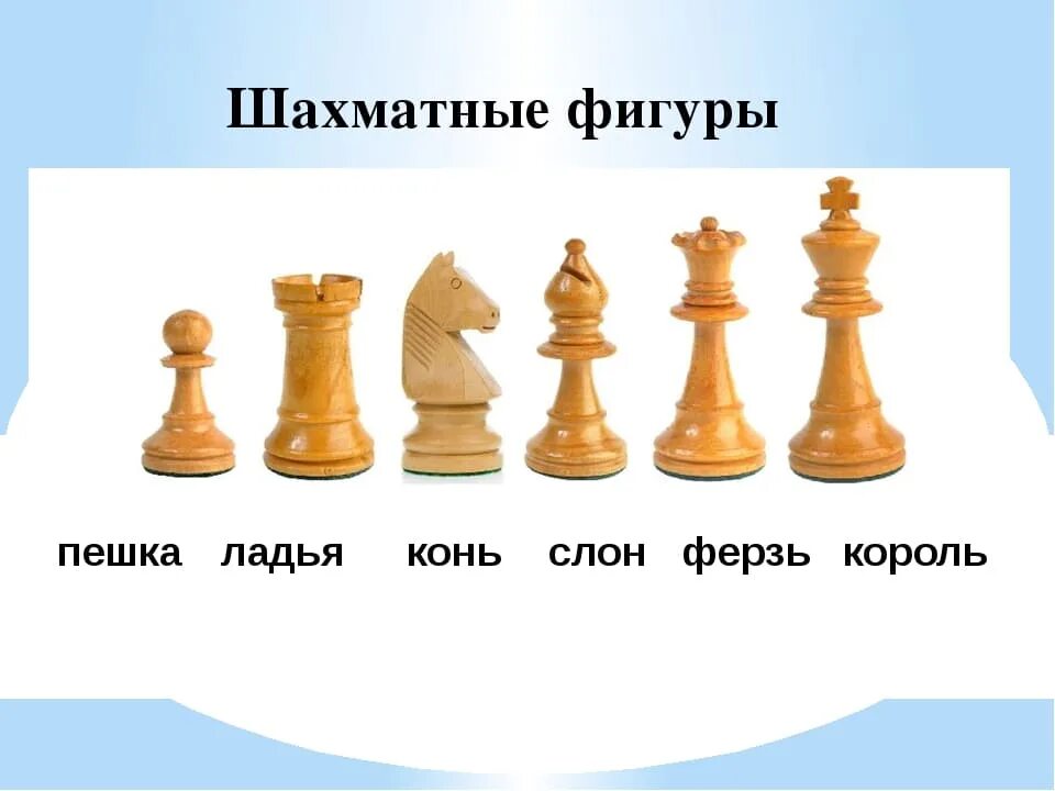 Король ладья слон конь. Как выглядит ферзь и Король в шахматах. Слон и Ладья в шахматах фигура. Правильное название фигур в шахматах. Шахматные фигуры Ладья Король ферзь конь слон пешка.