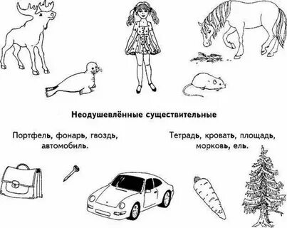 Одушевленные и неодушевленные существительные задания