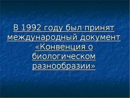 Конвенция 1992