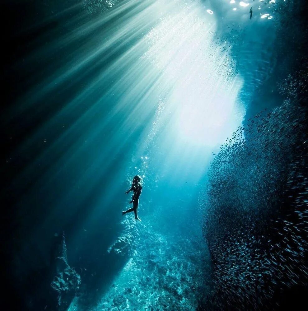 Глубокие воды. Океаны. Погружение. Глубокие воды. Погружение в воду.