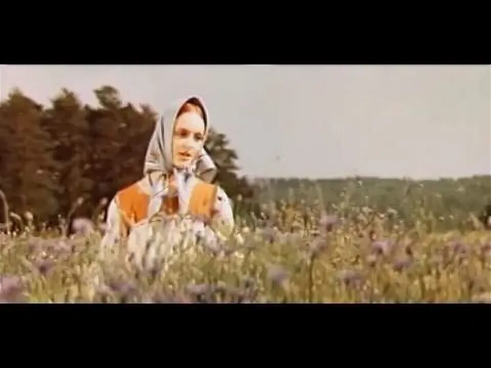 Баллада о кукле текст. Аленушки состав. Песни две аленушки. Катя закаурцева. Песни две аленушки.