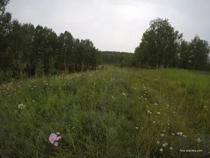 Погода коточиги почасовая