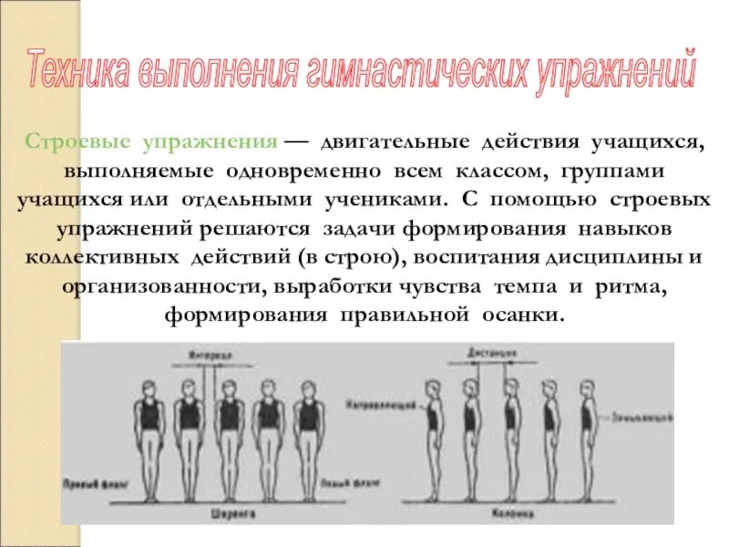 Шибеко . Строевые упражнения. Строевые упражнения в гимнастике. Схемы строевых упражнений. Построение на физкультуре.