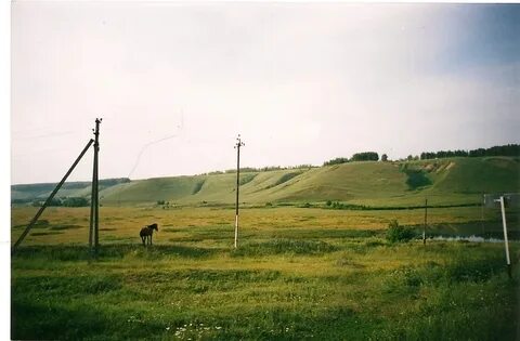 Поселок садовый кирсановский