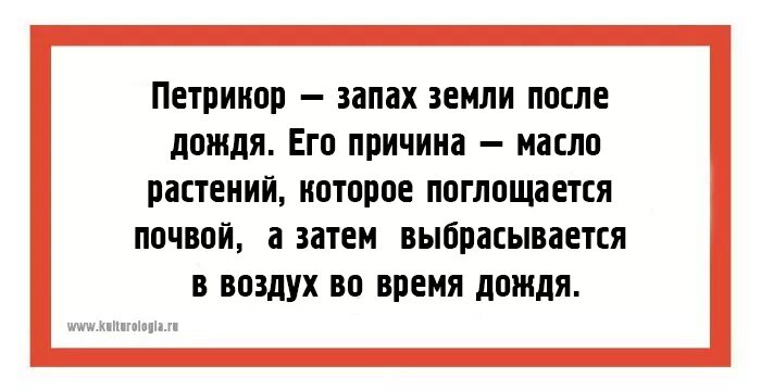 Слова которые никто не использует. Умные слова для общения. Умные слова список. Слова для общения с людьми. Умные слова и их значение.