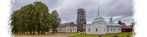 Березник вологодской