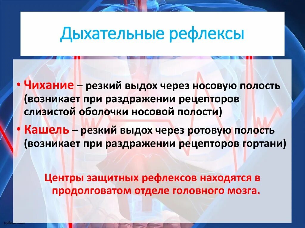 Рефлексы происходящие при кашле